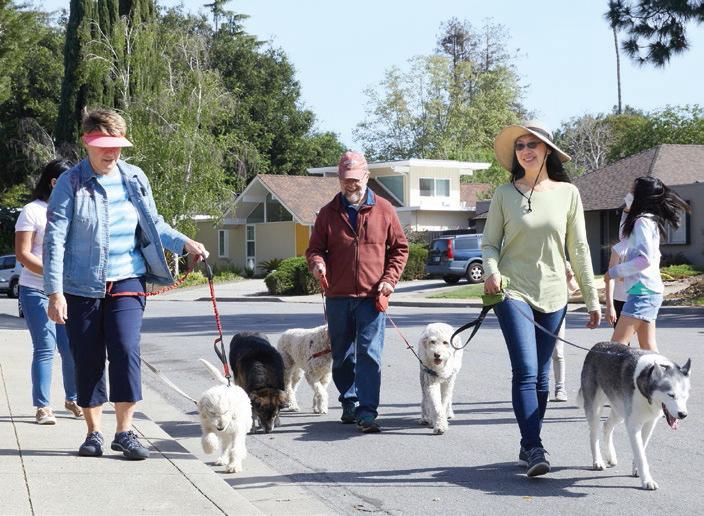 Eichler dogs
