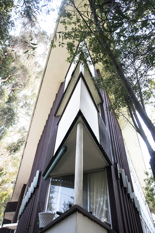 Mogie Modern