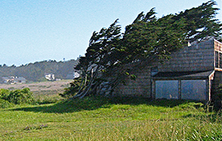 Sea Ranch