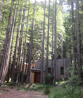 Sea Ranch
