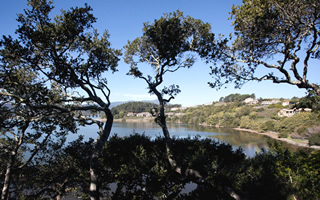 Betty's views are awesome—here overlooking Richardson Bay.