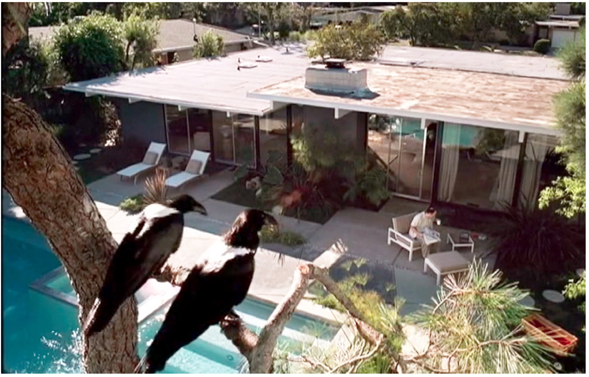 House as Cinema Star