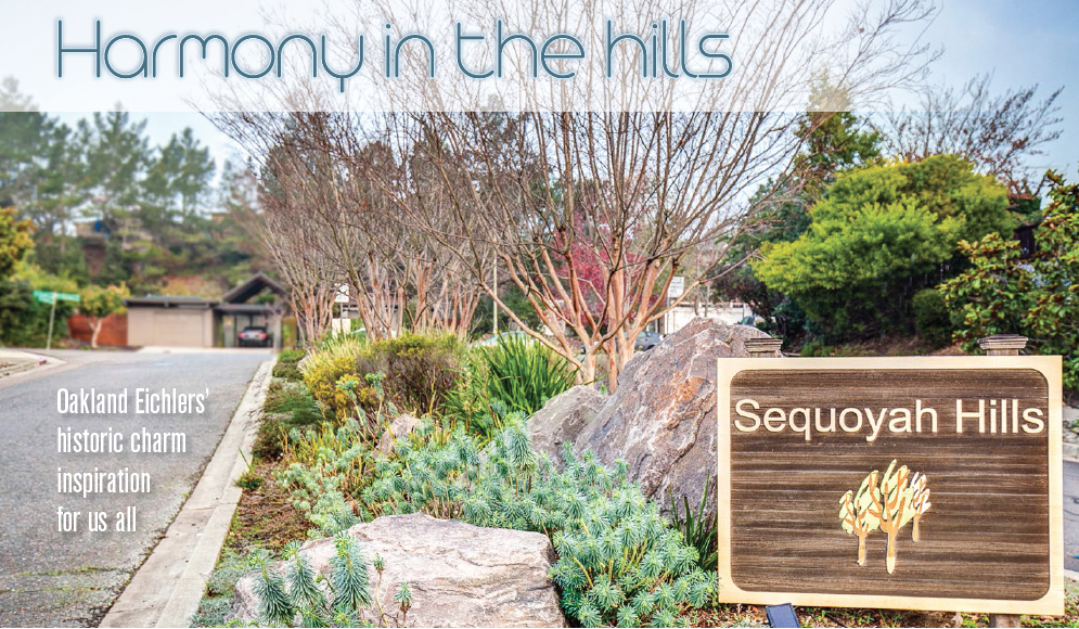 Harmony in the Hills