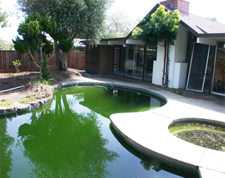 Crystal Ball Remodeling