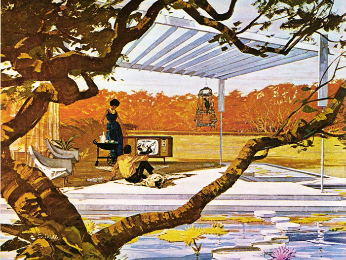 Dreamscapes of Elegance