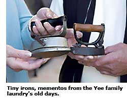 tiny irons