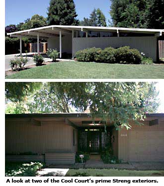 two evergreen houses