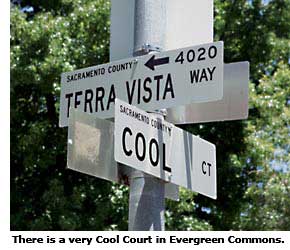 cool court street sign