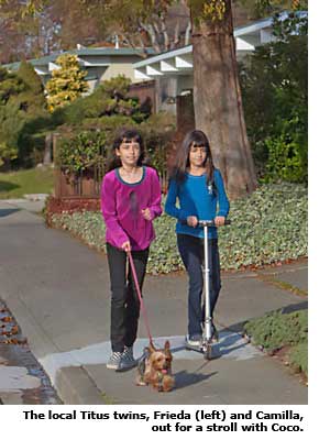 two young girls walking dog