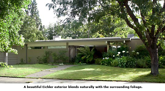 street view of house and foliage