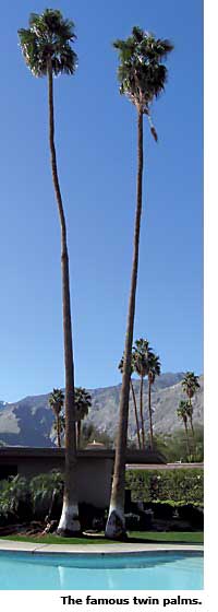 the twin palms