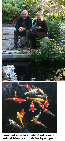 Rombolds and animal friends
