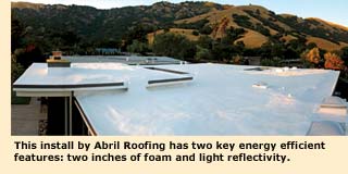 roof foam