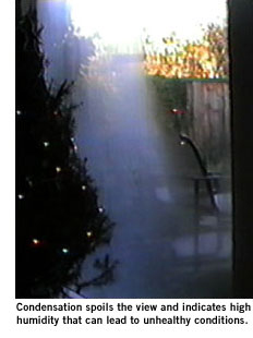 condensation on eichler window
