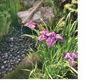 landscaping japanese-asian verve